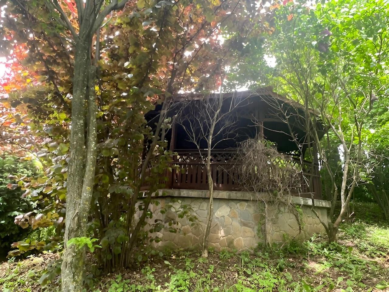 Wine Cellar Villa With Beautiful Garden In Sinaia - Busteni Poiana Tapului Exterior photo