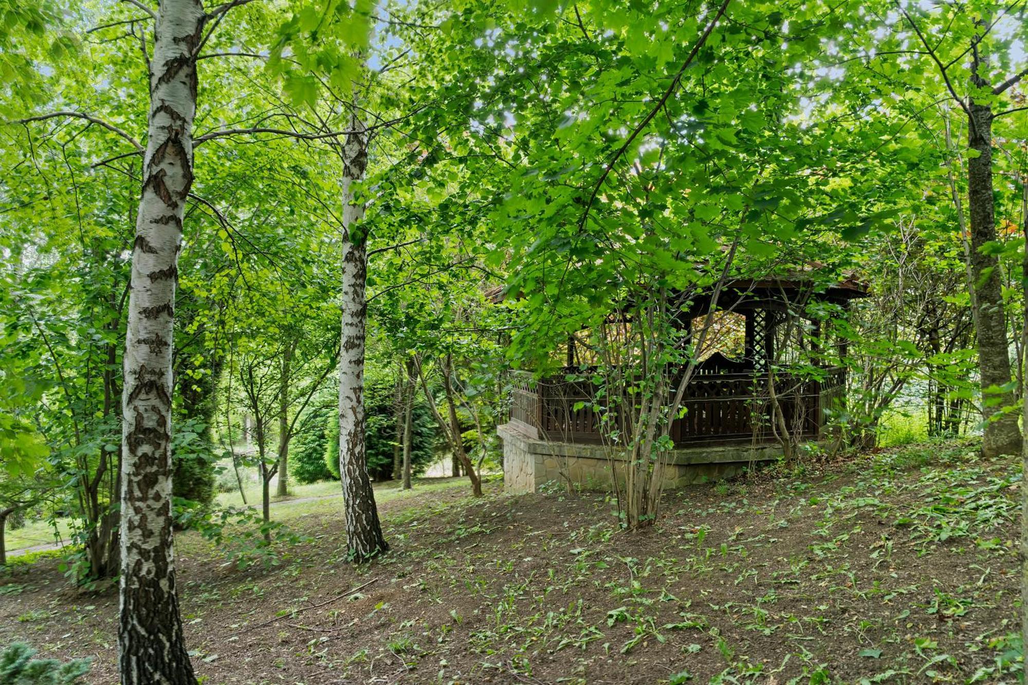 Wine Cellar Villa With Beautiful Garden In Sinaia - Busteni Poiana Tapului Exterior photo